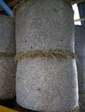 Stroh in Rundballen