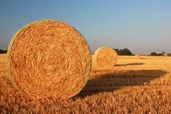 Strohballen Eifeler Landhandel